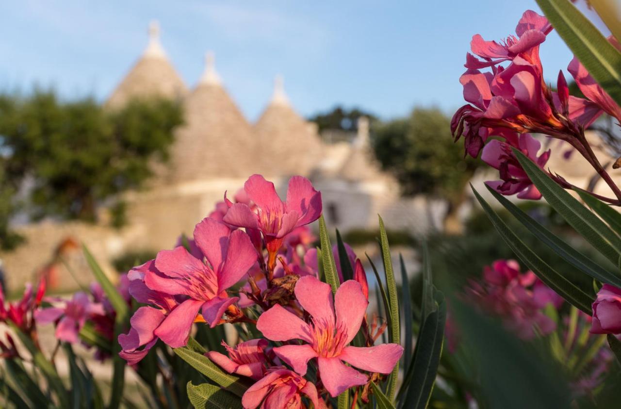 Trulli Angela Apartment Locorotondo Exterior photo